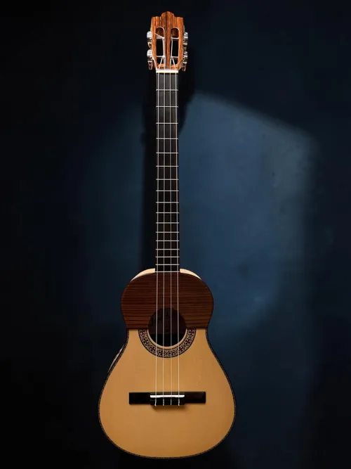 Cuatro Venezolano 17 trastes De Palo santo de la India